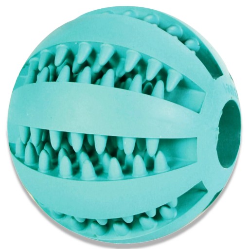 DENTÁLNA GUĽA pre malého PSA na zúbky s MUŠKAMI, MÄTA, 5 cm