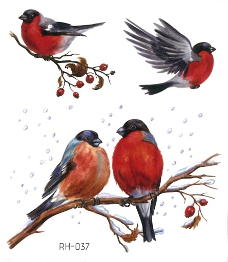 Odnímateľné tetovanie pre deti BIRDS RH037