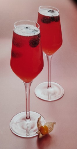 FRUTTAMAX RADLER CITRÓNOVÉ PIVO SVETLE SODASTREAM SIRUP