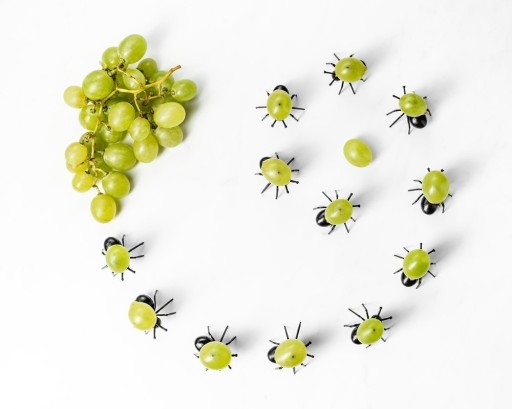 Párty ANTS for SNACKS špáradlá SKEERS