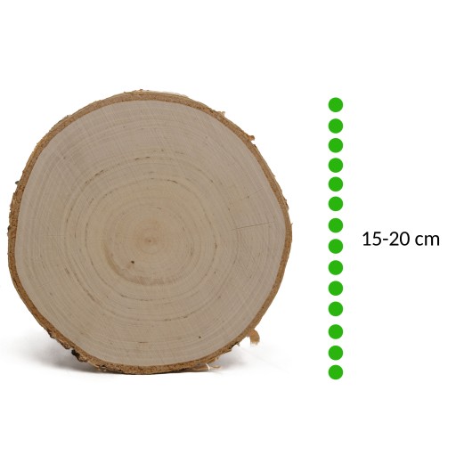Nasucho brúsený drevený plátok 15-20 cm, breza