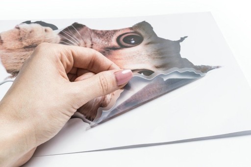 3D nálepka CAT
