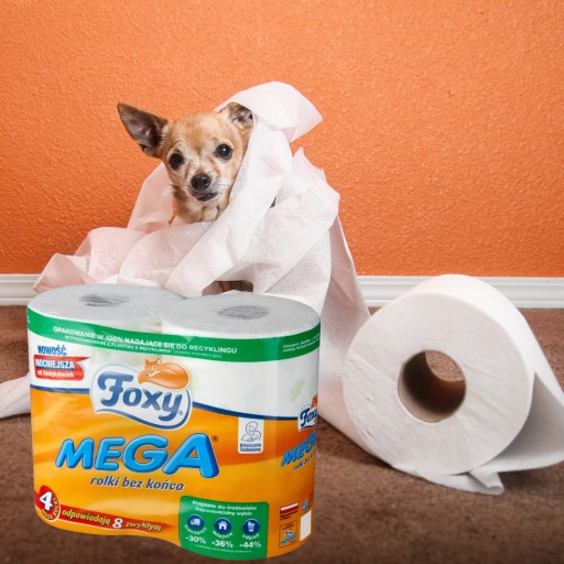 Toaletný papier FOXY MEGA A'4