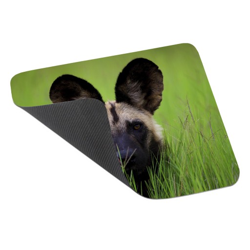 Podložka pod myš WILD ANIMALS