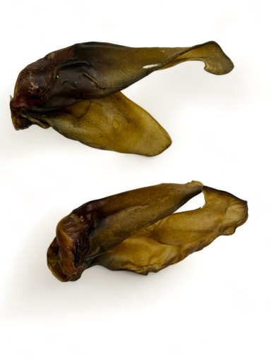 Eurokolagén - Honey Beef Ear Gat 2 - Prírodná maškrta pre psa