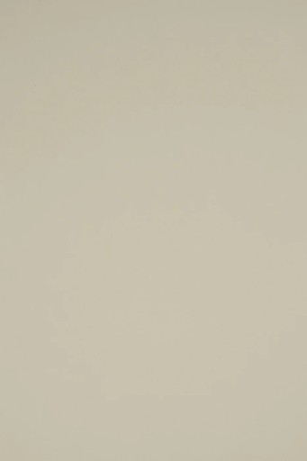 Farebný kartónový papier 230g R96 šedý - 10A3