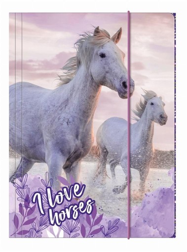 Leporelo s gumičkou A4 HORSES 25 DERFORM, DERFORM
