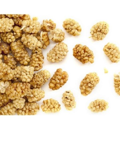 Moruša biela znižuje hladinu cukru Vláknina s obsahom železa Bio Purella 45 g