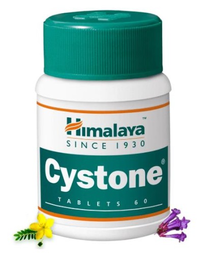 HIMALAYA CYSTONE Močový systém Obličky Kamica 100 tabliet