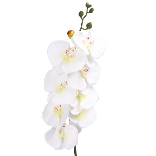 ORCHIDEA ORCHIDEA Vetvička LIVING QUALITY 90cm