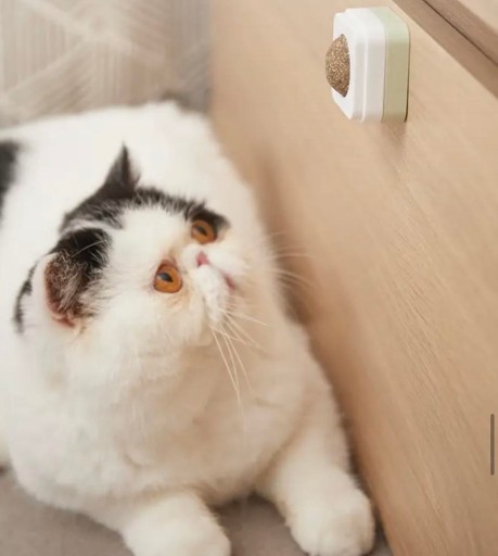 Catnip Lollipop snacková loptička s lepiacou mačkou HIT