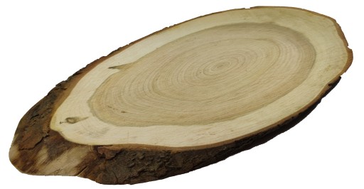 PLÁSOK KONSKÉHO DREVA, ELIPTICKÝ, ŠIKMÝ, 20-25 CM, DEKORATÍVNY PODNÁK, DREVO