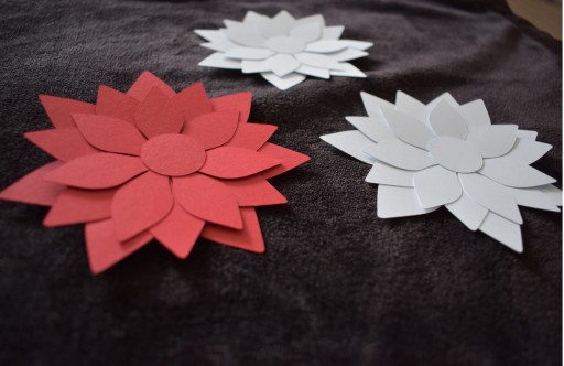 3D kvety Ústava ku dňu matiek na okne, tabuli, závese, škole