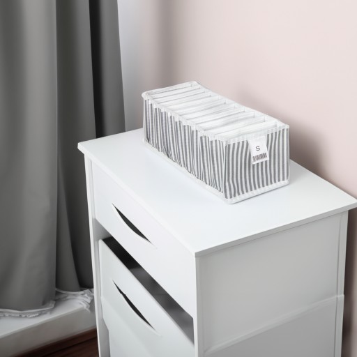 Organizér do zásuvky na spodnú bielizeň s priehradkami S 41x11x12CM