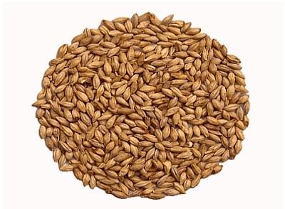 Abbey Malt 40 - 50 EBC Weyermann 0,5 kg drvený