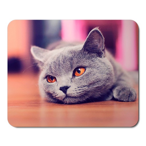 Podložka pod myš s mačkou, CATS