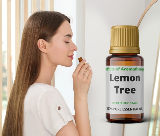 LEMON TREE olej osviežuje a dezinfikuje vzduch