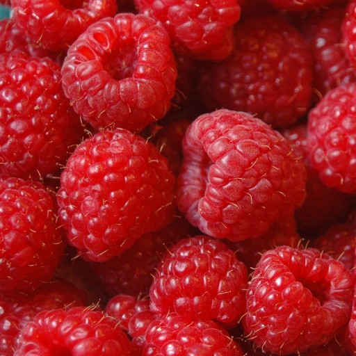 Sirup do Soda FruttaMax karbonizátor: MALINA LIGHT 500 ml na 12 l