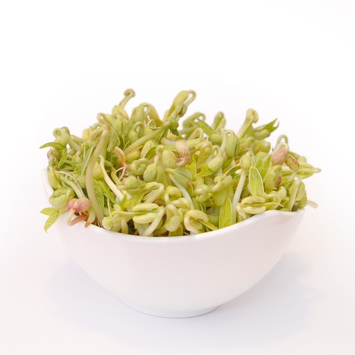Fazuľka mungo 500g - semienka na klíčky