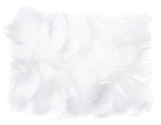 Pierka BIELE 15g ozdobné pierka na ozdobu NR001