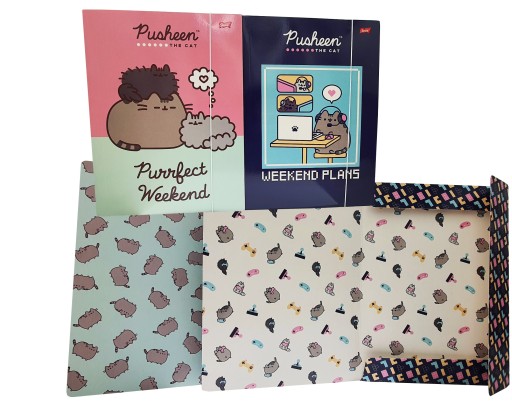 A4 Pusheen Unipap zložka s gumičkou