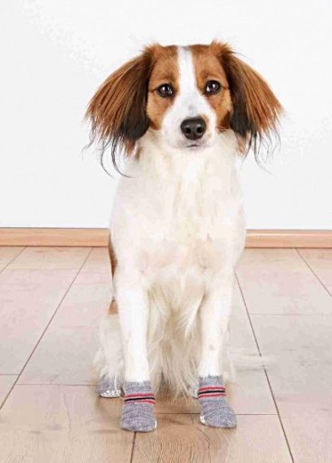 Trixie protišmykové ponožky pre psov, pár L-XL