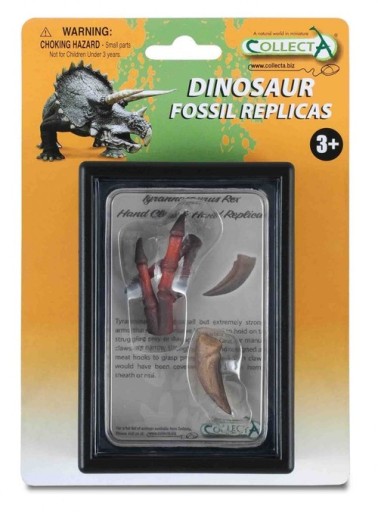 Replika pazúrov a hornej končatiny Tyrannosaura