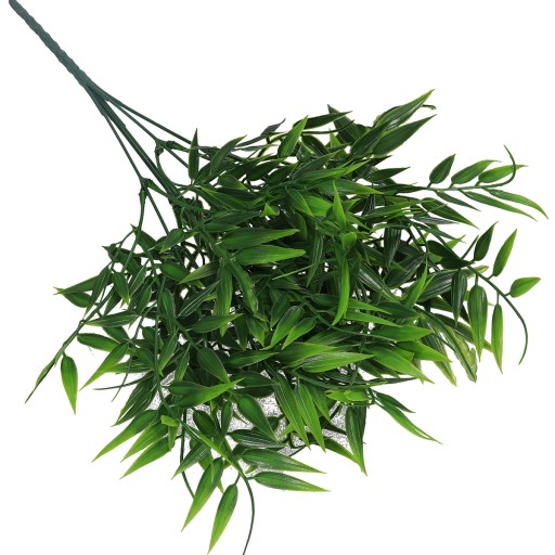 RUSCUS BOUQUET HRUBÉ KONÁRE ZELENÝ PRÍDAJ DO KYTICOVÝCH KRÉMOV
