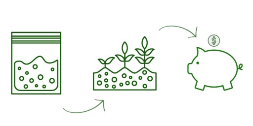 SEMIENKA ARUKOLY NA KLÍČKY, JEMNE KORENITÉ, AROMATICKÉ, BEZ GMO 10g