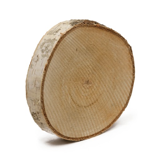 Plátok suchého dreva 16-20 cm, kvalitné neplesnivejúce brezové kotúče
