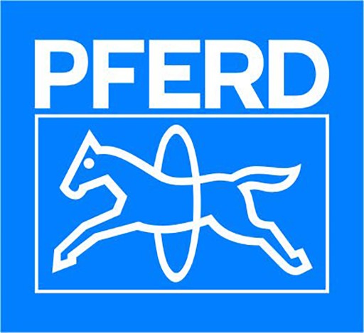 PFERD PUSHING BUSHING Pushings Zirkónium 25x25 P120 - 5 ks.
