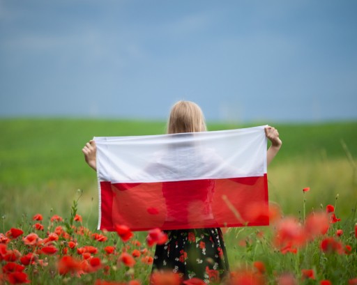 DEKORAČNÁ LÁTKA, ŠTÝLOVÁ PODŠÍVKA, biela