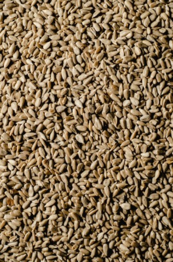 SLNEČNICOVÉ SEMIENKA ČERSTVÉ LÚPANÉ 500g