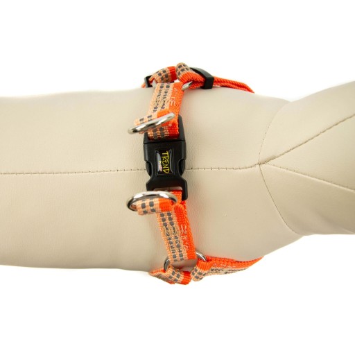 Postroj pre psa TREND STRIPE 30-50cm Oranžový 15mm