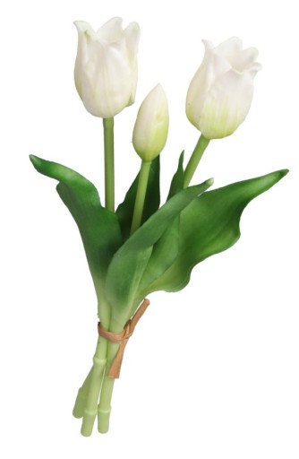 TULIPANY TULIPSKY KYTICE GUMA POTAŽENÁ GUMA AKO ŽIVÁ
