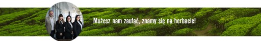 T-SAC 1 Papierové filtre na varenie čaju T SAC