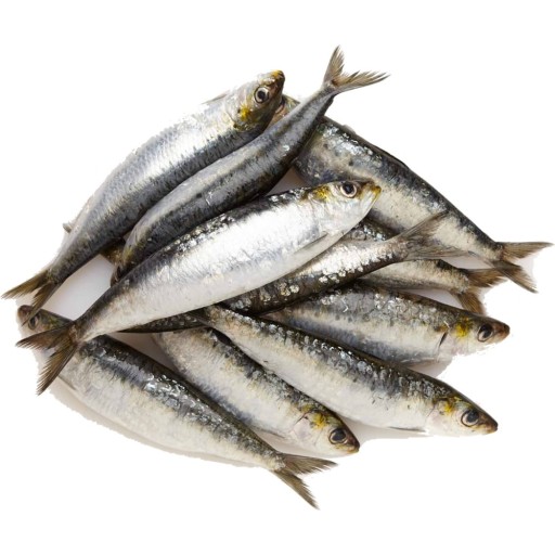 Španielske sardinky v paradajkách Sardina Pilchardus v konzerve 120g KIER