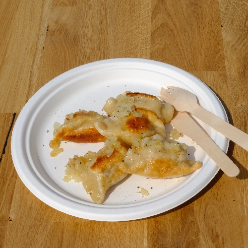 Jednorazové ECO taniere - na grilovanie - priemer 23cm - 50 kusov