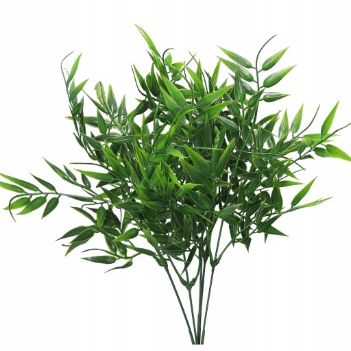 RUSCUS BOUQUET HRUBÉ KONÁRE ZELENÝ PRÍDAJ DO KYTICOVÝCH KRÉMOV