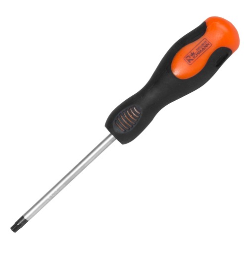 TORX SKRUTKOVAČ T15X100MM RICHMANN C5466