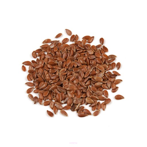 Hnedé ľanové semienko 1000g BioFruit