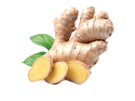 Aromatická zázvorová pasta 120g DOM ÁZIE