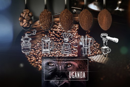 Čerstvo pražené kávové zrná 100% Arabica Uganda 50G pre kávovar na espresso