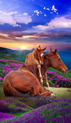 Diamantové vyšívanie MOUNTAINS Diamantová maľba HORSES 5D Diamantový rezací obraz