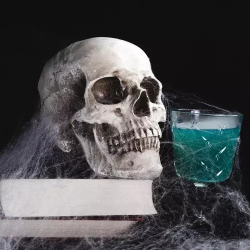 Umelá BIELA HALLOWEEN SPIDER WEB 2 pavúky 60g