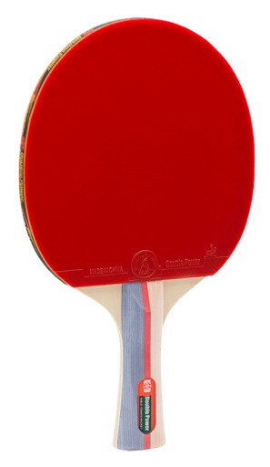 Dvojitá raketa na stolný tenis