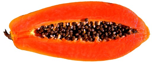 Enzymatický peeling na tvár s brusnicami Apis