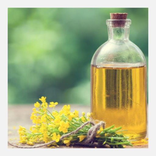 POLISH Repkový olej bez GMO, nerafinovaný 500ml Giewont Oil Plant