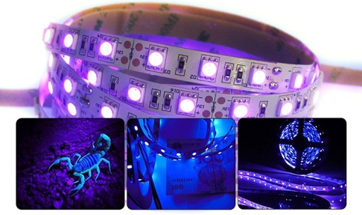 LED pásik IP20 12V 5050 14W UV ultrafialový 1mb