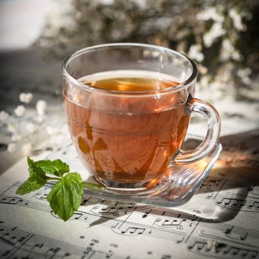 Assam TGBOP BIO Bio čierny sypaný čaj 100g
